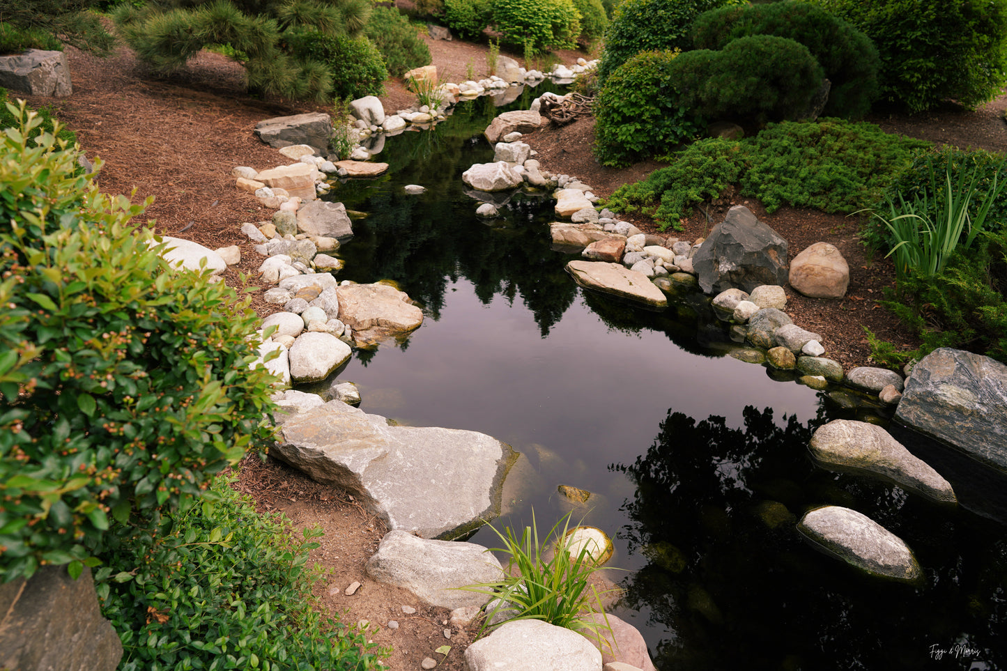 Tranquility