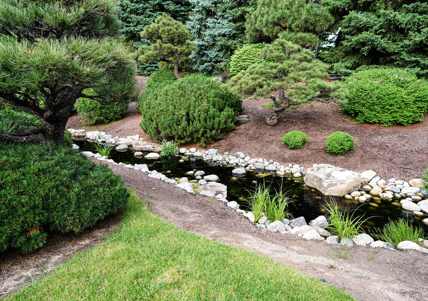 Peaceful in Botanica Gardens